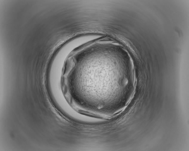 X0000112810677200909041454