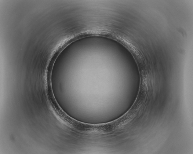 X0000112810678200909041454