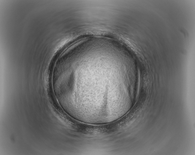 X0000112810679200909041454