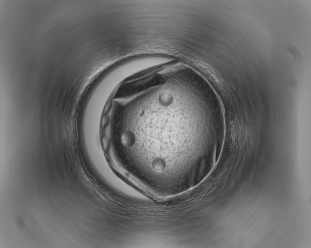 X0000112810680200909041454