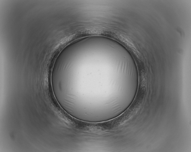 X0000112810681200909041454