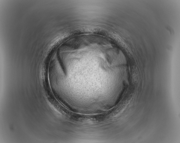 X0000112810683200909041454