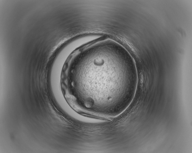 X0000112810684200909041454