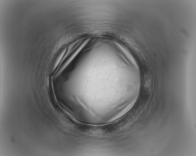 X0000112810685200909041454