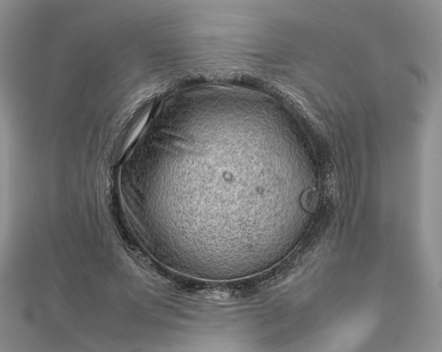 X0000112810687200909041454