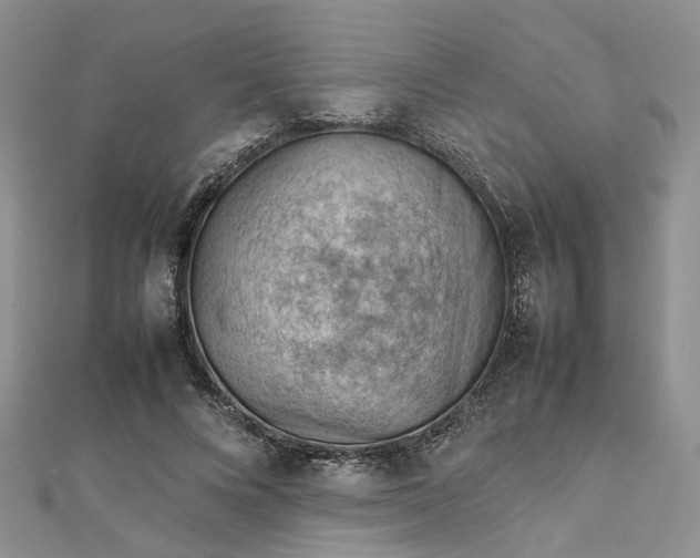 X0000112810688200909041454