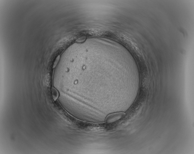 X0000112810689200909041454