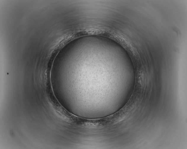 X0000112810690200909041454