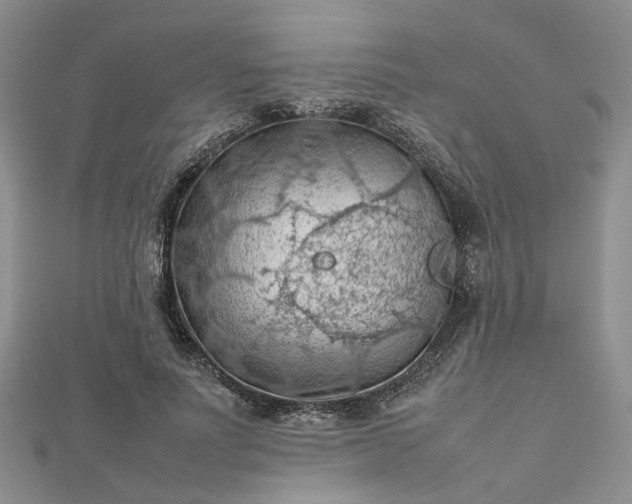 X0000112810691200909041454