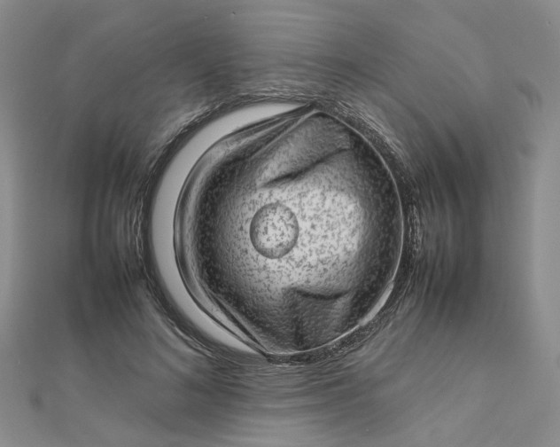 X0000112810692200909041454