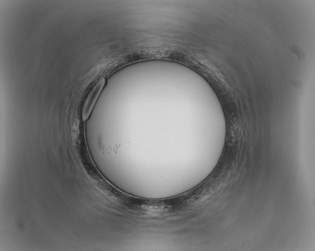 X0000112810693200909041454