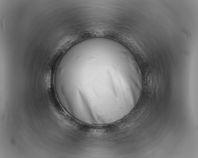 X0000112810694200909041454