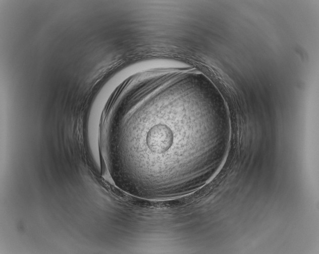 X0000112810696200909041454