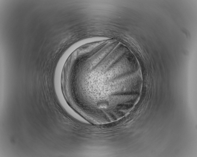 X0000112810697200909041454