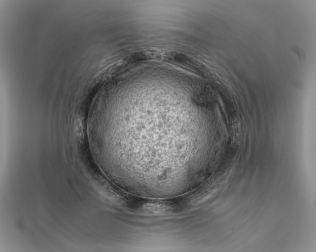 X0000112810699200909041454