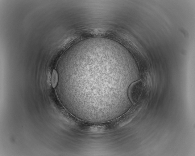 X0000112810700200909041454