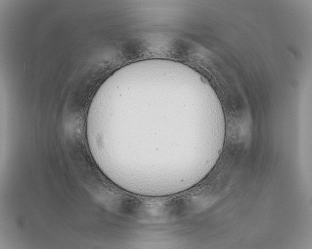 X0000112810701200909041454