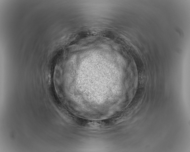 X0000112810703200909041454