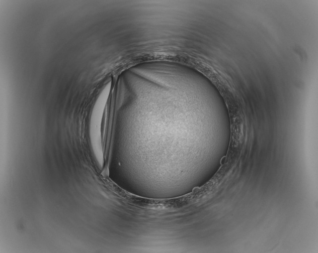 X0000112810704200909041454