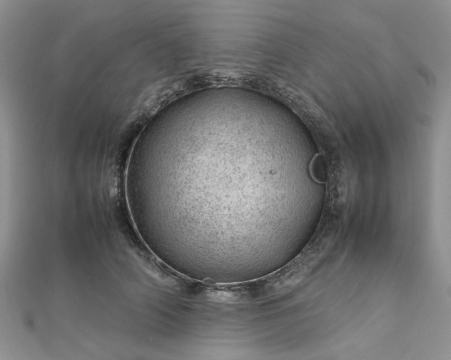 X0000112810706200909041454