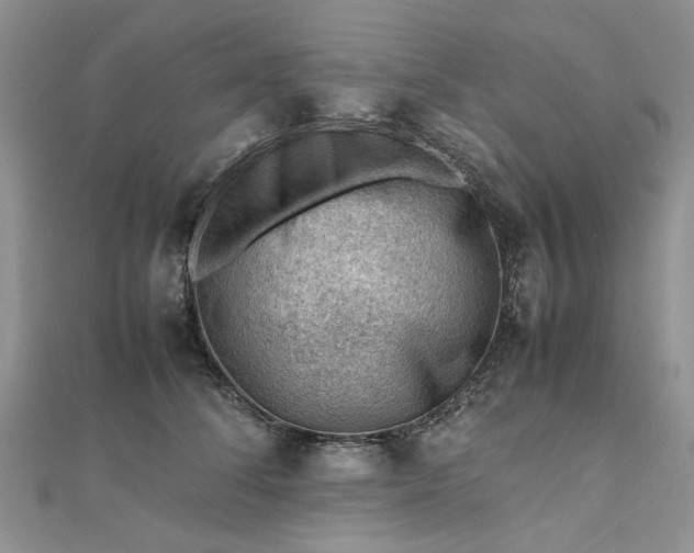 X0000112810708200909041454