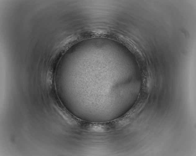 X0000112810710200909041454