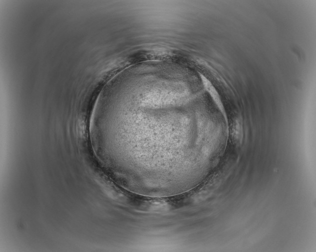 X0000112810715200909041454