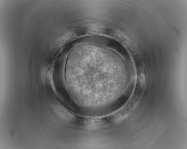 X0000112810716200909041454