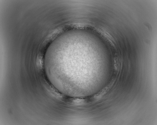 X0000112810718200909041454