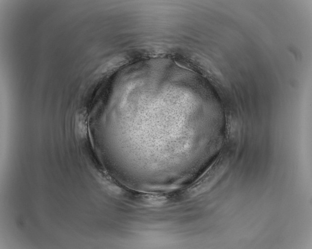 X0000112810719200909041454