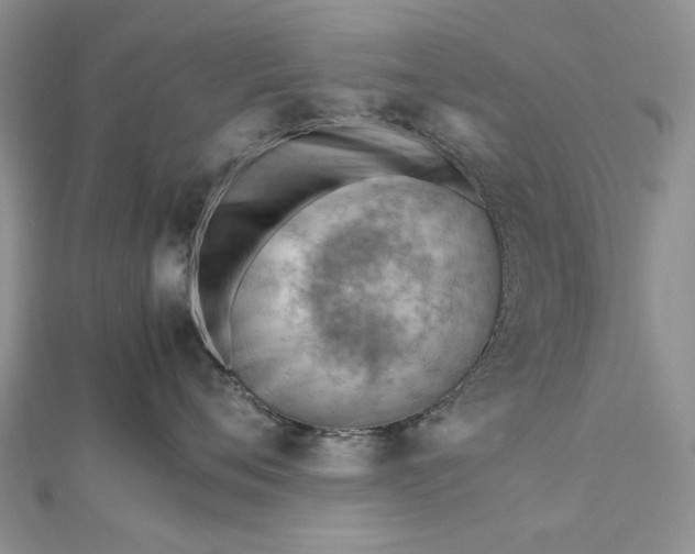 X0000112810720200909041454