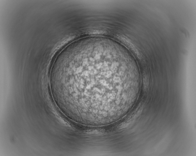 X0000112810721200909041453