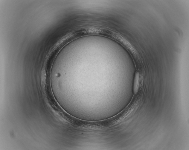 X0000112810722200909041453