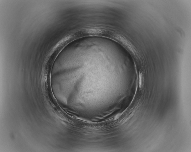 X0000112810723200909041453