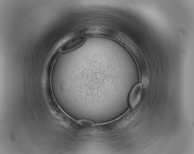 X0000112810724200909041453