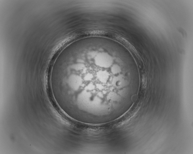 X0000112810725200909041453