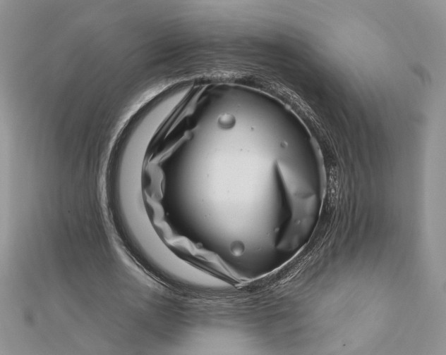 X0000112810726200909041453