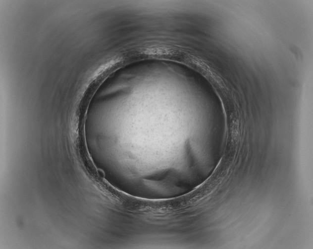 X0000112810727200909041453