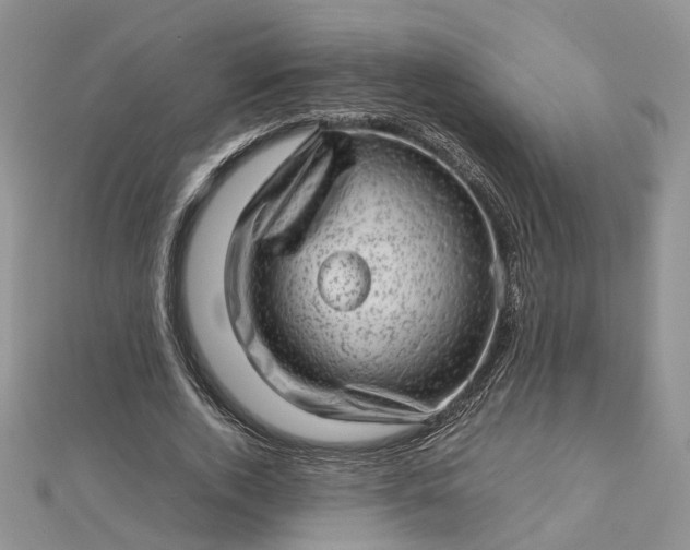 X0000112810728200909041453