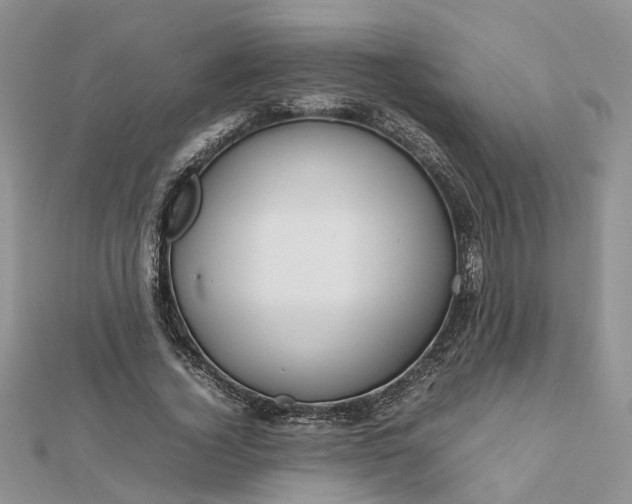 X0000112810732200909041453