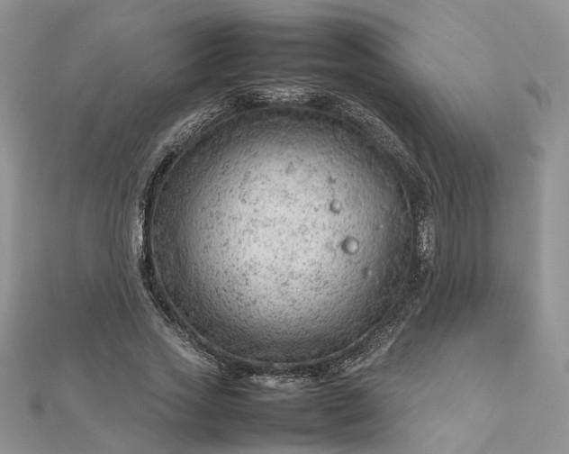 X0000112810733200909041453