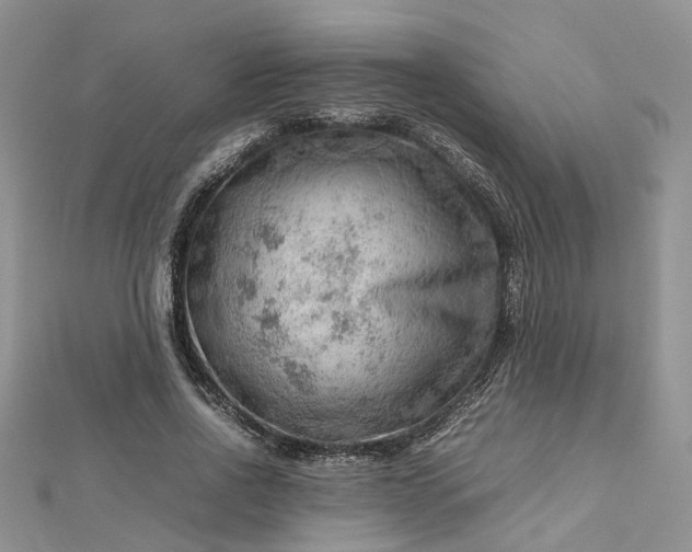 X0000112810734200909041453