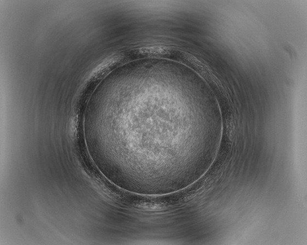 X0000112810735200909041454