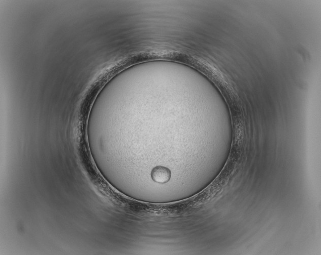 X0000112810736200909041454