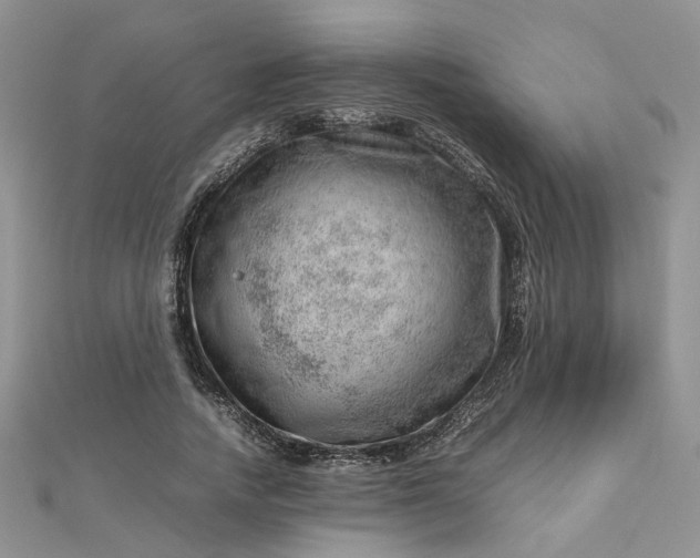 X0000112810738200909041454