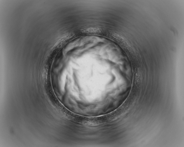 X0000112810739200909041454