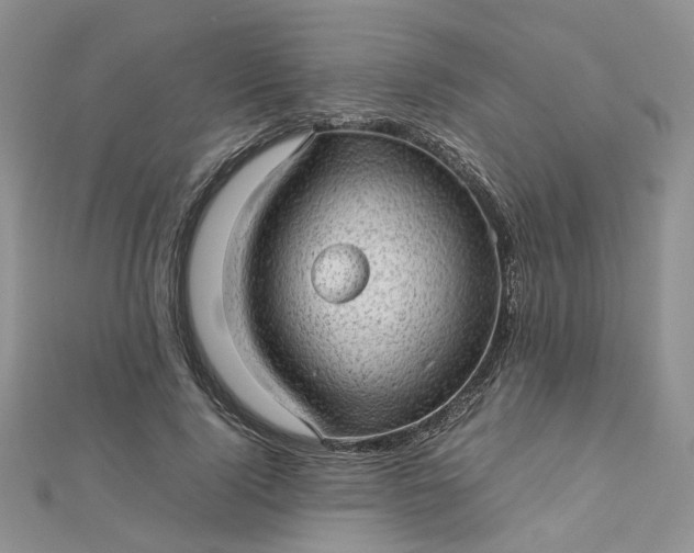 X0000112810740200909041454