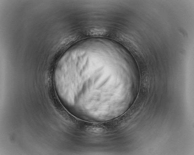 X0000112810743200909041454