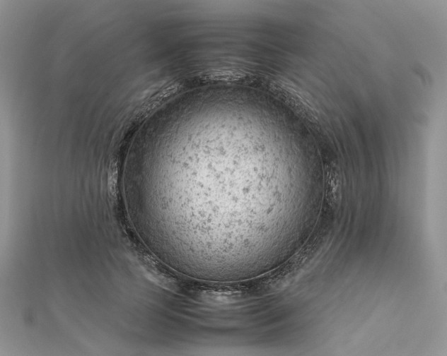 X0000112810745200909041454