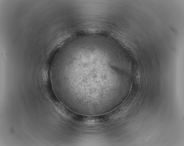 X0000112810746200909041454